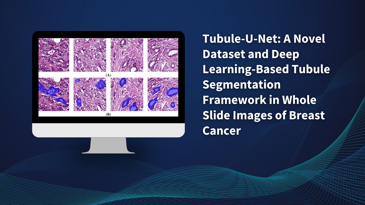 Tubule-U-Net: a Novel Dataset and Deep Learning-Based Tubule