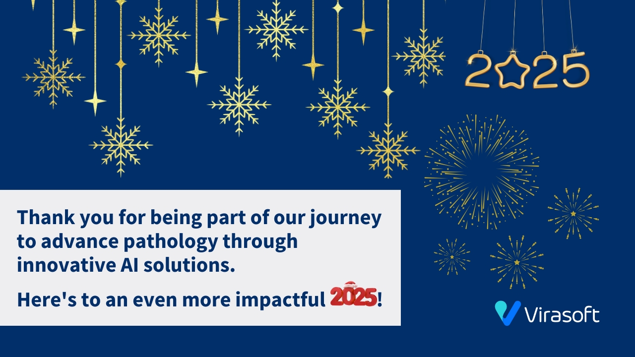 A Year of Progress and a Bright New Year Ahead with Virasoft