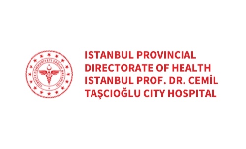 Digital and AI-Driven Decision Support at Istanbul Prof. Dr. Cemil Taşcıoğlu City Hospital: